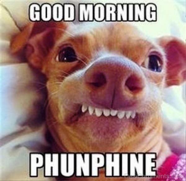 Good Morning Phunphine