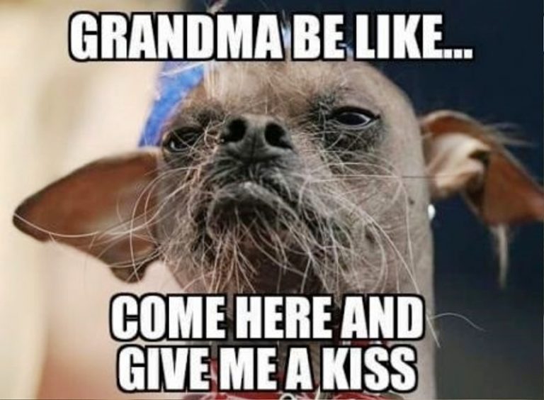 Grandma Be Like.