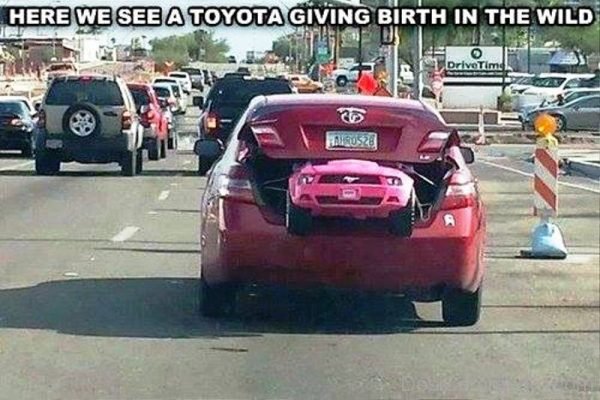 Here We See A Toyota Giving Birth