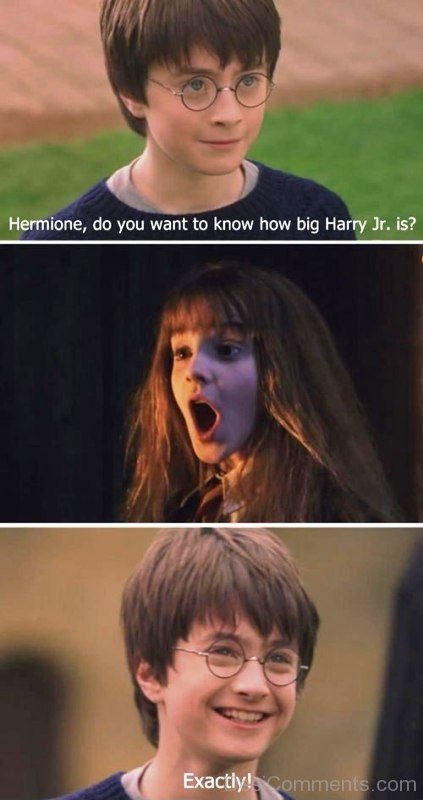 Hermione Do You Want To Know