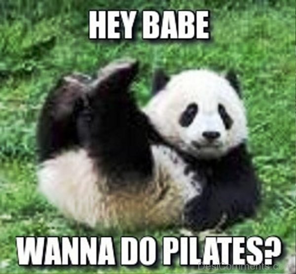 Hey Babe Wanna Do Pilates