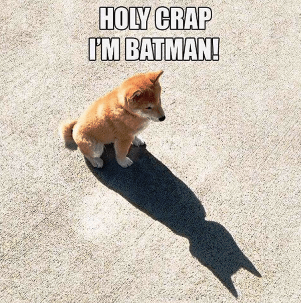 Holy Crap Im Batman