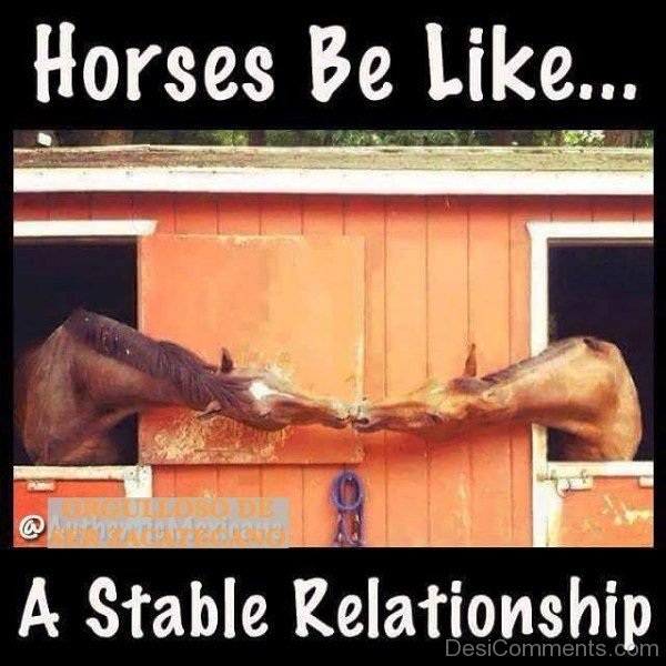 Horses Be Like