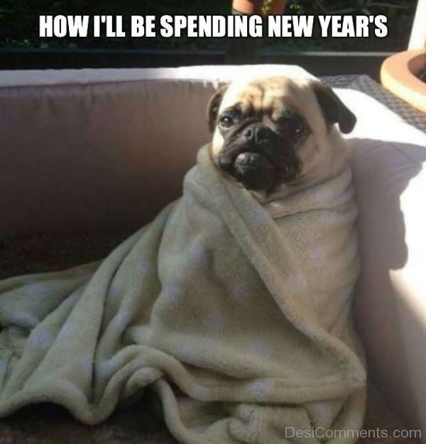 How I ll Be Spending New Years