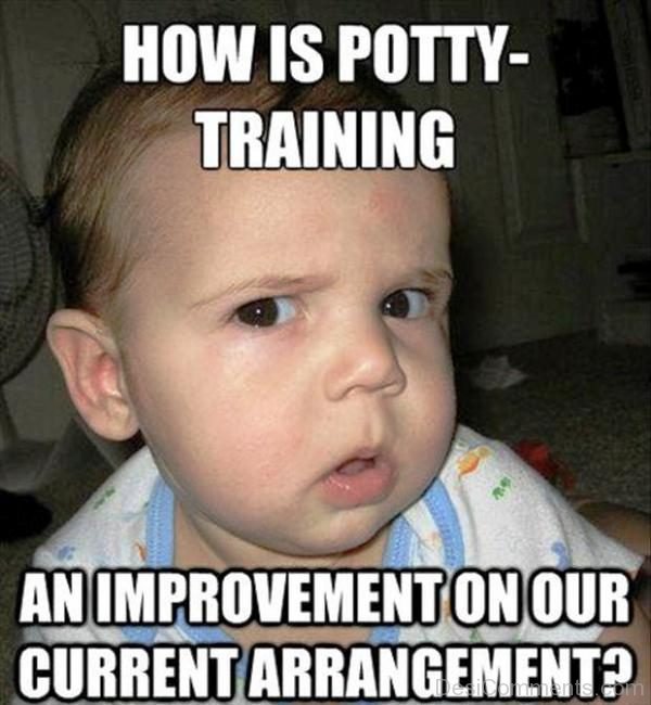 How Is Potty Training