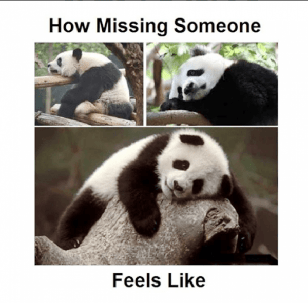 How Missing Someone Feels Like