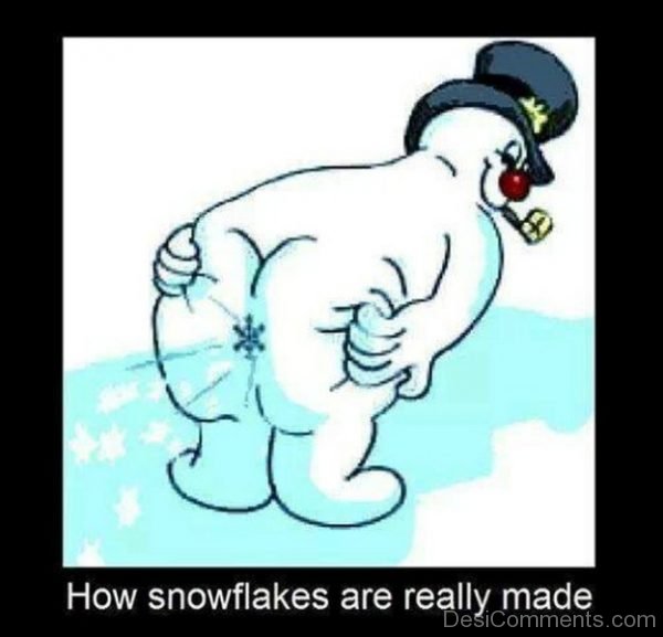 How Snowflakes Are Really Made