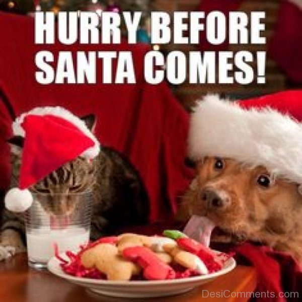 Hurry Before Santa Comes