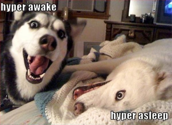 Hyper Awake
