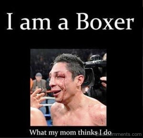 I Am A Boxer