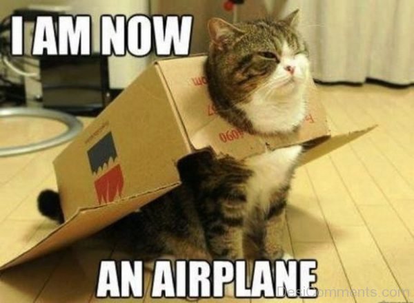 I Am Now An Airplane