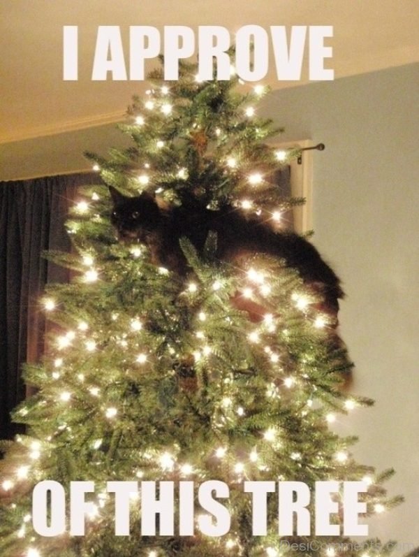 I Approve Of This Tree