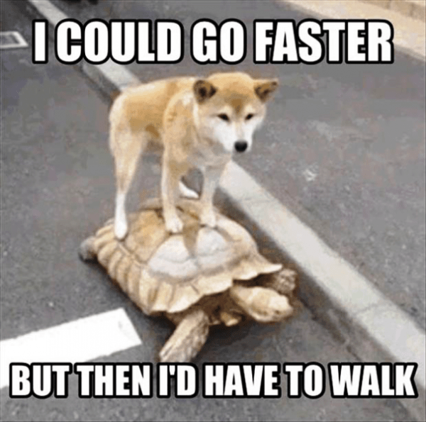 I Could Go Faster