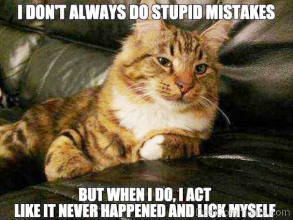 I Dont Always Do Stupid Mistakes