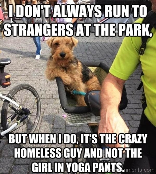 I Dont Always Run To Strangers