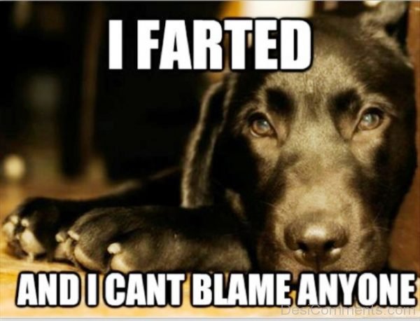 I Farted