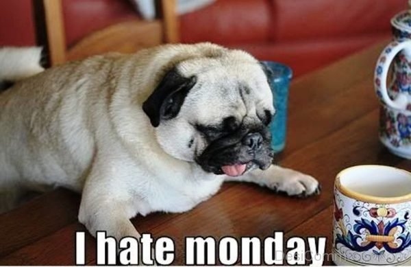 I Hate Monday