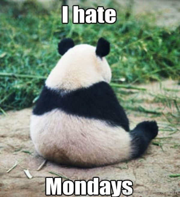 I Hate Mondays