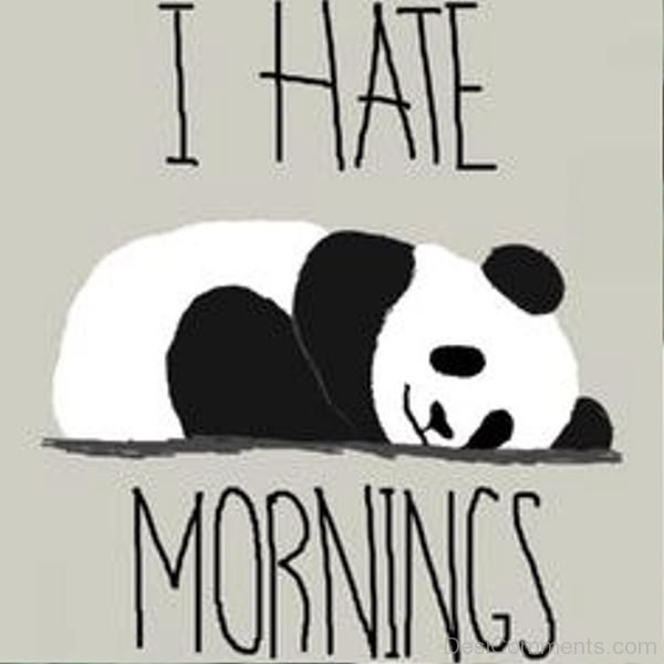 I Hate Mornings