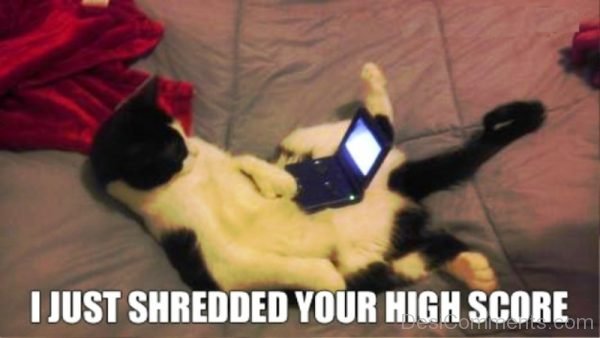 I Just Shredded Your High Score