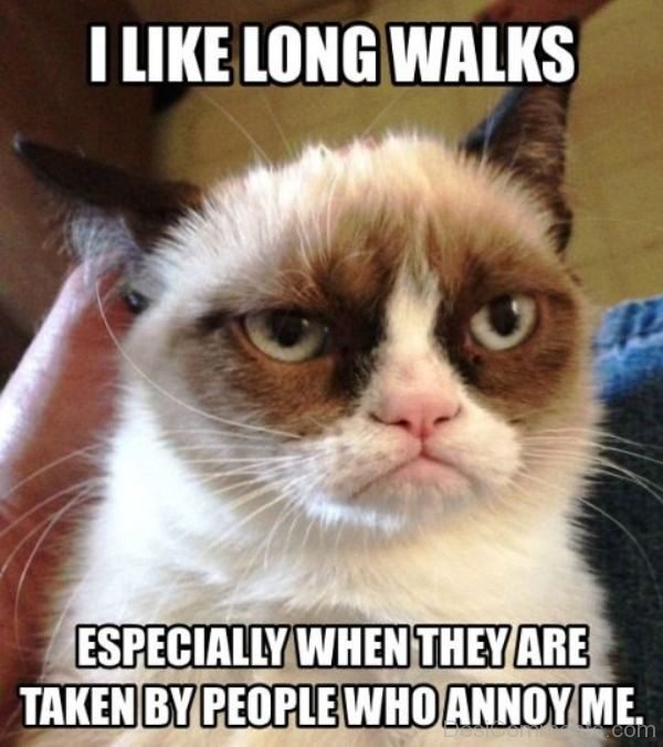 I Like Long Walks