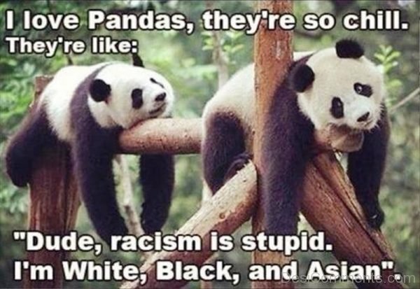 I Love Pandas Ther re So Chill