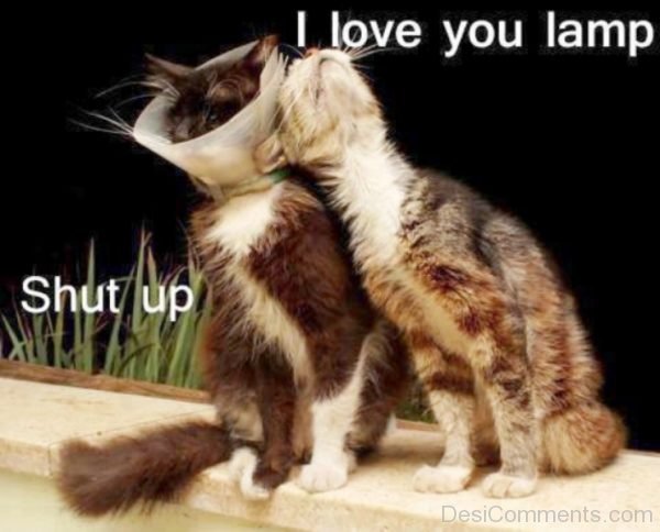 I Love You Lamp