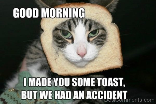 I Made You Some Toast