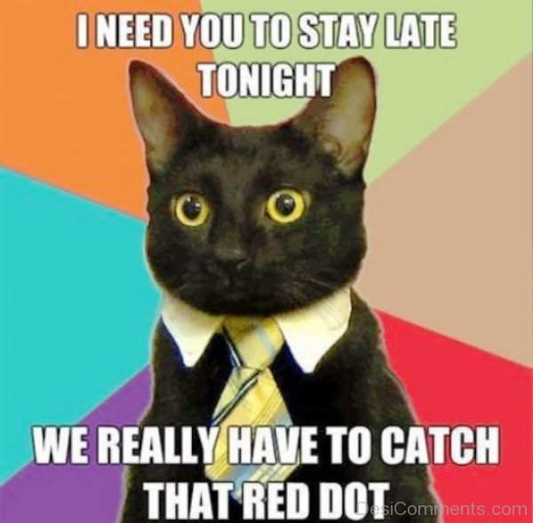 I Need You To Stay Late Tonight