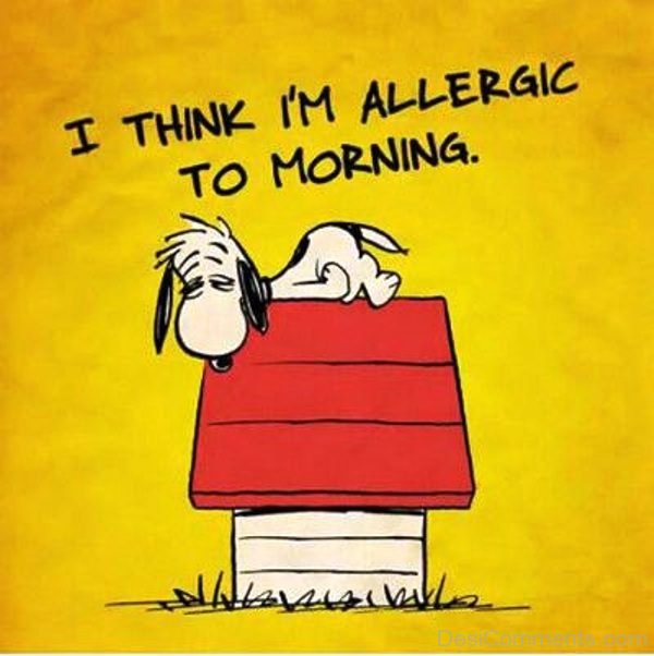 I Think Im Allergic To Morning