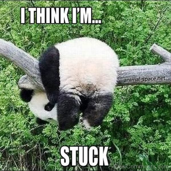 I Think Im Stuck