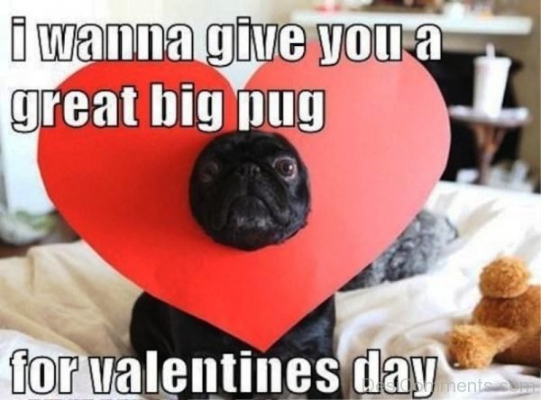 I Wanna Give You A Great Big Pug