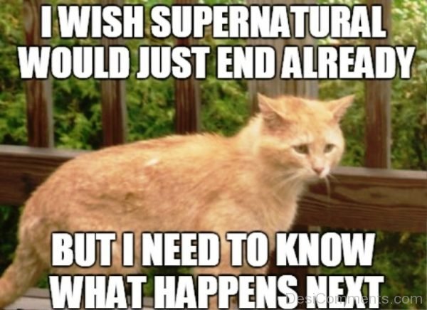 I Wish Supernatural Would Just