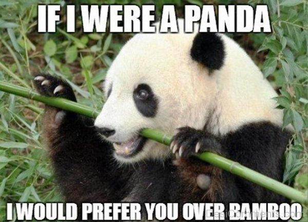 If I Were A Panda