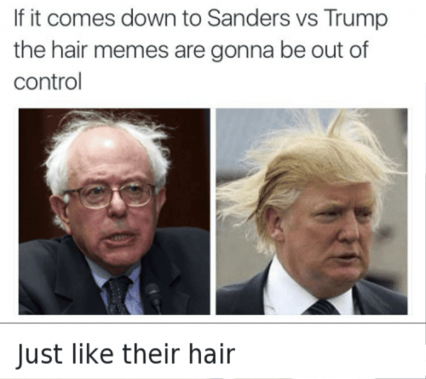 If It Comes Down To Sanders Vs Trump