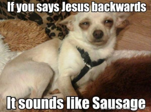 If You Says Jesus Backwards