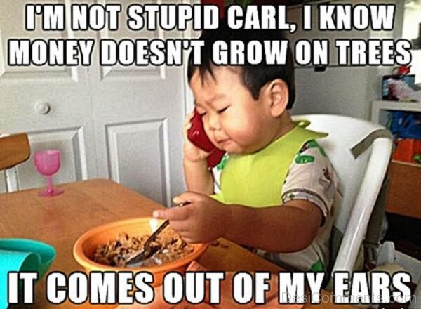 Im Not Stupid Carl