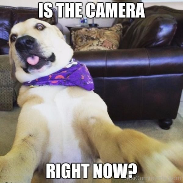 Is The Camera Right Now