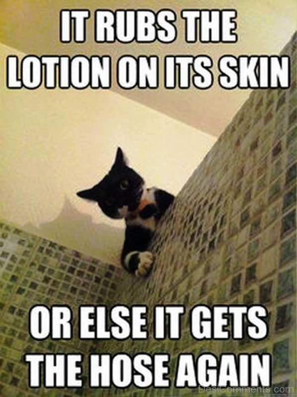 It Rubs The Lotion On Its Skin