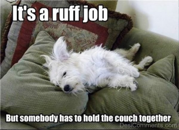 Its A Ruff Job