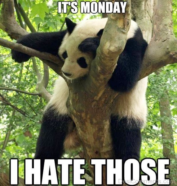 Its Monday I Hate Those