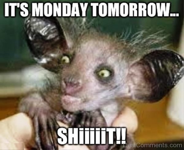 Its Monday Tomorrow