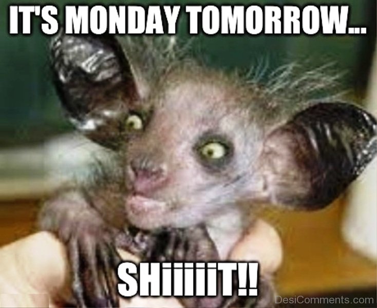 No Brain Meme Monday Tomorrow Memes Meme Funny Its Desicomments Happy