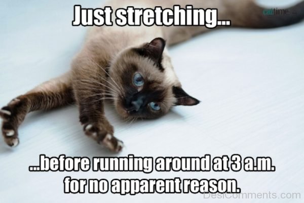 Just Stretching