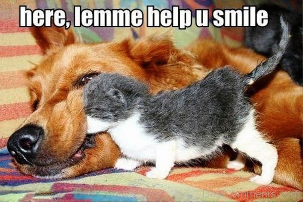 Let Me Help You Smile
