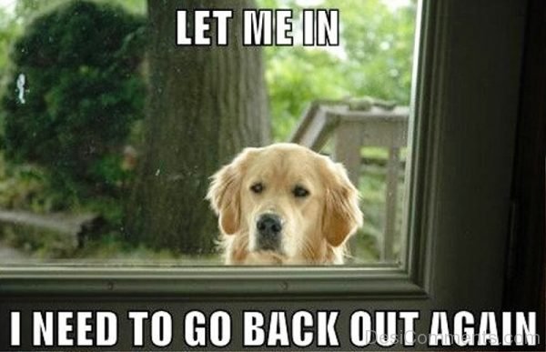 Let Me In