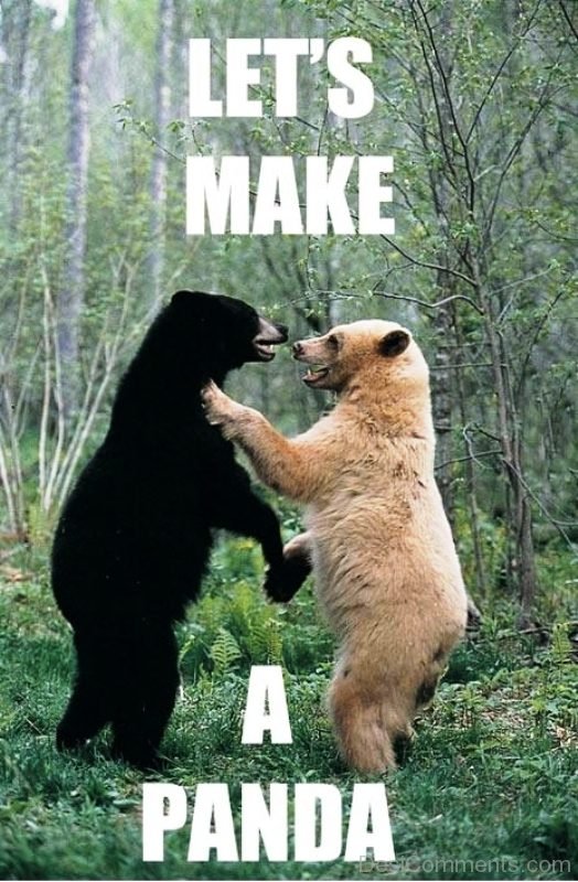 Lets Make A Panda