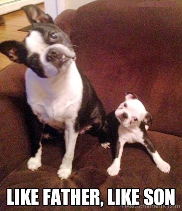 Like Father Like Son