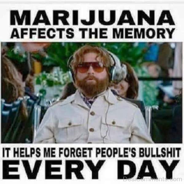 Marijuana Affects The Memory