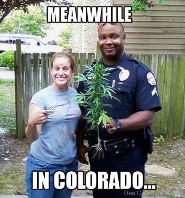 Meanwhile In Colorado